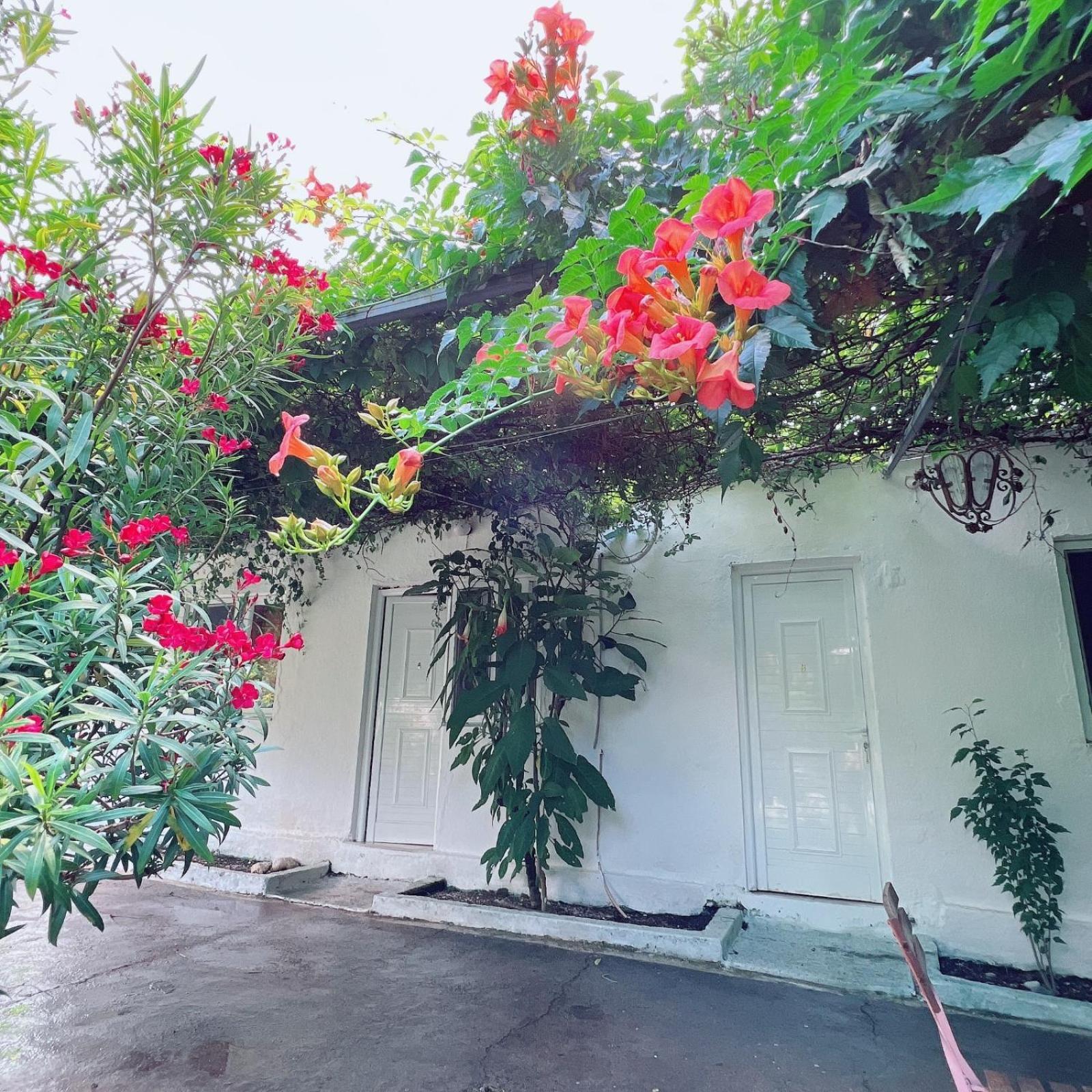 Garden Villa Naza Piqeras Exterior photo